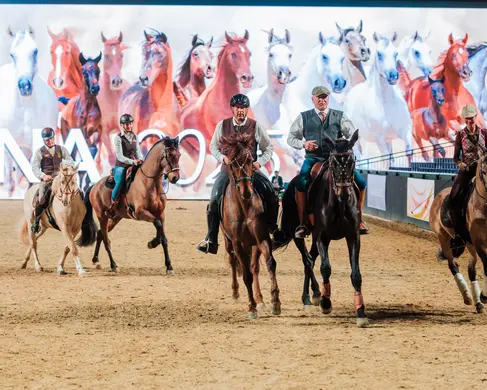 Bild von dem großen Ring der EQUITANA
