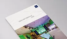 Annual Report 2020