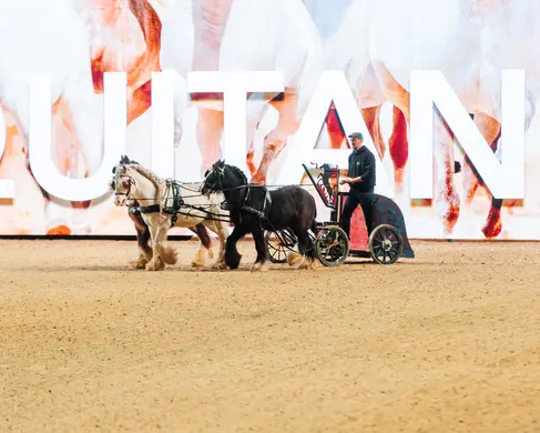 Bild von dem großen Ring der EQUITANA