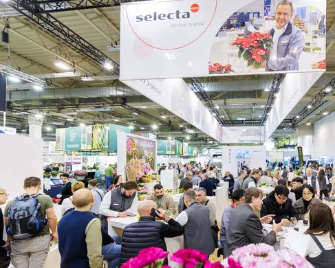 Die Halle 2 der MESSE ESSEN mit Besucherinnen und Besuchern während einer Messe